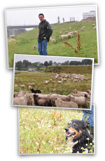 Landschaftspflege De Wassum